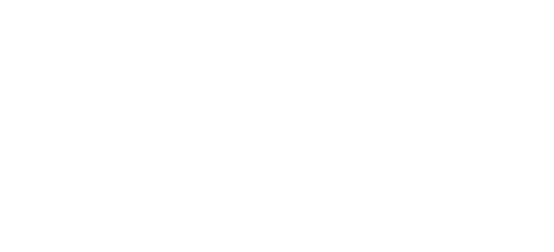 Government Logo